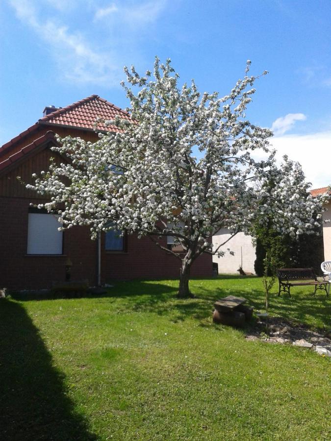 Ferienwohnung Relax Ильзенбург Экстерьер фото