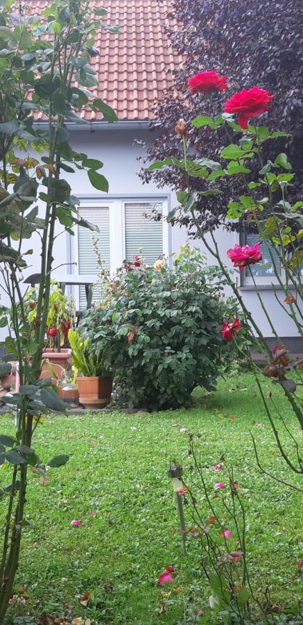 Ferienwohnung Relax Ильзенбург Экстерьер фото